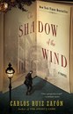 shadow of the wind.jpg