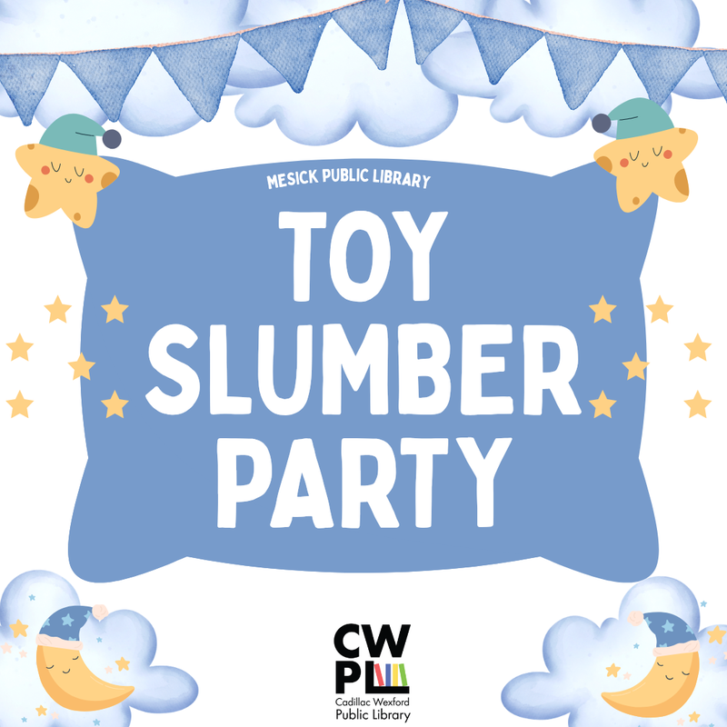Website TOY SLUMBER PARTY.png